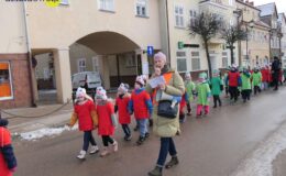 Akcja ekologiczna – dbajmy o mokradła