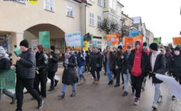 Akcja ekologiczna – dbajmy o mokradła