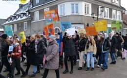 Akcja ekologiczna – dbajmy o mokradła