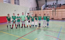 Yankeesi Działdowo na II miejscu w X Ogólnopolskim Walentynkowym Halowym Turnieju Baseballu