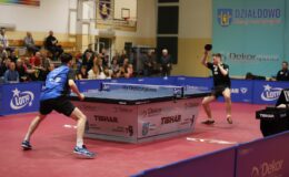 Jeden z najlepszych meczów Dekorglassu w sezonie. 3:0 z Gwiazdą