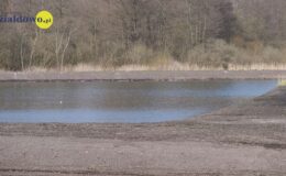 W naszym zbiorniku wodnym, pojawił się już pierwszy narybek