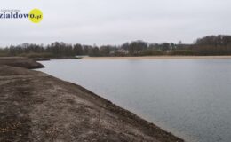 W naszym zbiorniku wodnym, pojawił się już pierwszy narybek