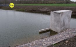 W naszym zbiorniku wodnym, pojawił się już pierwszy narybek