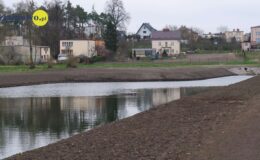 W naszym zbiorniku wodnym, pojawił się już pierwszy narybek