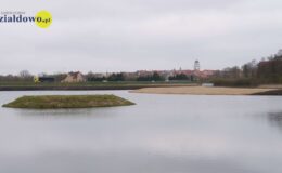 W naszym zbiorniku wodnym, pojawił się już pierwszy narybek