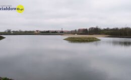 W naszym zbiorniku wodnym, pojawił się już pierwszy narybek
