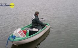 W naszym zbiorniku wodnym, pojawił się już pierwszy narybek