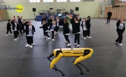 Akcja charytatywna dla Gabrysia