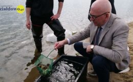 W naszym zbiorniku wodnym, pojawił się już pierwszy narybek