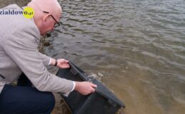 W naszym zbiorniku wodnym, pojawił się już pierwszy narybek