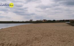 W naszym zbiorniku wodnym, pojawił się już pierwszy narybek