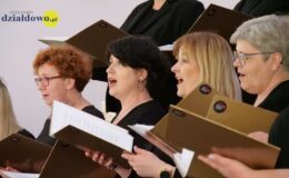 „Światła Północy” – koncert muzyki skandynawskiej Chóru Concentus
