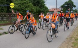 grupa osób jedzie na rowerach drogą