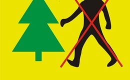 grafika przedstawia drzewo - choinkę i przekreśloną postać ludzką oraz napis "zakaz wstępu