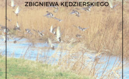 plakat promujący wystawę "Dzikim tropem" w Miejskiej Bibliotece Publicznej w Działdowie