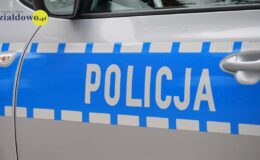 napis policja na drzwiach radiowozu