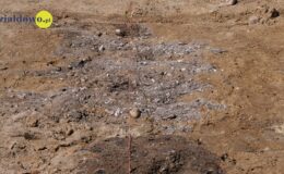 Archeolodzy, antropolodzy i prokurator w Działdowie