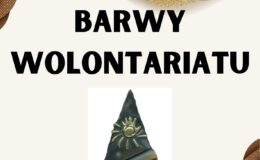 plakat informujący o zgłoszeniach do konkursu Barw Wolontariatu