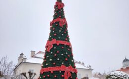 Choinka już czeka. Rozbłyśnie 9 grudnia