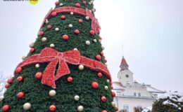 Choinka już czeka. Rozbłyśnie 9 grudnia