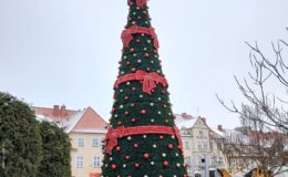 Choinka już czeka. Rozbłyśnie 9 grudnia
