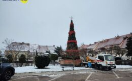 Choinka już czeka. Rozbłyśnie 9 grudnia