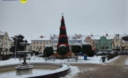Choinka już czeka. Rozbłyśnie 9 grudnia