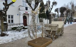 Choinka już czeka. Rozbłyśnie 9 grudnia