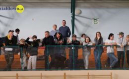 XXII Międzynarodowy Halowy Turniej Baseballu “Działdowo Cup 2023”