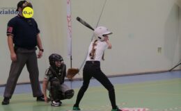 XXII Międzynarodowy Halowy Turniej Baseballu “Działdowo Cup 2023”