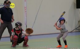 XXII Międzynarodowy Halowy Turniej Baseballu “Działdowo Cup 2023”