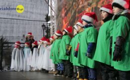 Jarmark Bożonarodzeniowy i “odpalenie choinki”