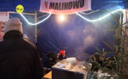 Jarmark Bożonarodzeniowy i “odpalenie choinki”