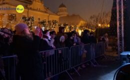 Jarmark Bożonarodzeniowy i “odpalenie choinki”