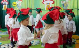 „Kotki” dla babci i dziadka