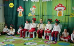 „Kotki” dla babci i dziadka