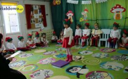 „Kotki” dla babci i dziadka
