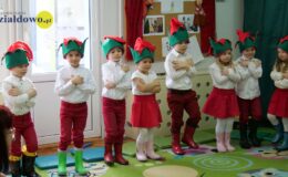 „Kotki” dla babci i dziadka