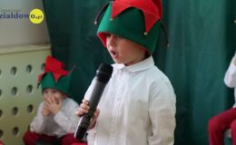 „Kotki” dla babci i dziadka