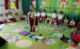 „Kotki” dla babci i dziadka