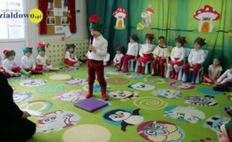 „Kotki” dla babci i dziadka