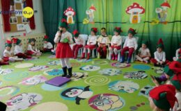 „Kotki” dla babci i dziadka