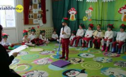 „Kotki” dla babci i dziadka