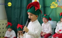 „Kotki” dla babci i dziadka