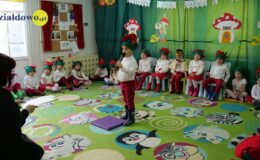 „Kotki” dla babci i dziadka