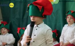 „Kotki” dla babci i dziadka