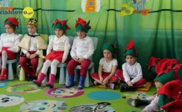 „Kotki” dla babci i dziadka