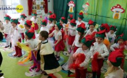 „Kotki” dla babci i dziadka