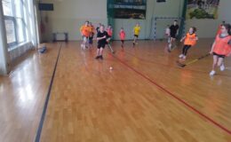 Ferie na sportowo – na lodowisku i na hali